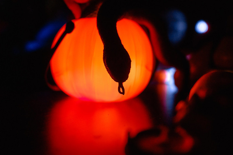 Украшение дома паутиной и летучими мышами к Хэллоуину в Yaroslavl